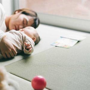 ふるさと納税 一畳屋 たたみっこ 縁無し 9枚...の詳細画像3