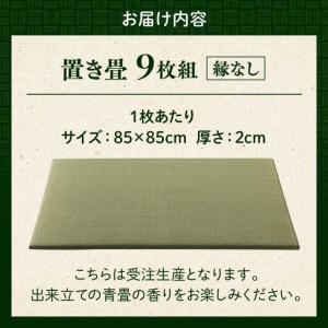 ふるさと納税 一畳屋 たたみっこ 縁無し 9枚...の詳細画像4