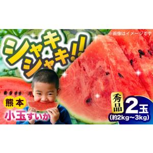 ふるさと納税 【2026年発送分先行予約 数量限...の商品画像