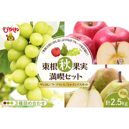 ふるさと納税 【2026年産 東根秋果実満喫セット】 サンふじ＆ラフ＆シャイン 約2.5kg 山形県...