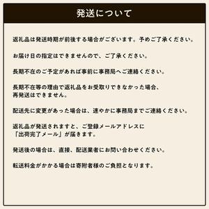 ふるさと納税 シチズン 腕時計 メンズ ザ・シ...の詳細画像4