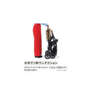 ふるさと納税 【 ピジョン 】 ベビーカー ラ...の詳細画像3