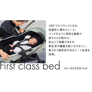 ふるさと納税 【 ピジョン 】 ベビーカー e...の詳細画像3