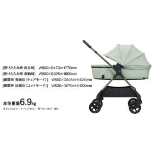 ふるさと納税 【 ピジョン 】 ベビーカー e...の詳細画像4