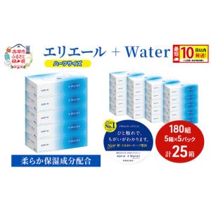 ふるさと納税 エリエールティッシュ+Waterハ...の商品画像