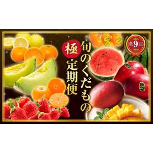 ふるさと納税 【数量限定】旬のくだもの【極】定期便【全9回】 きんかん たまたま いちご 苺 イチゴ せとか マンゴー 太陽のタマゴ スイカ メロ.. 宮崎県宮崎市