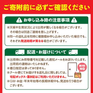 ふるさと納税 フルーツ 定期便 フルーツ [旬...の詳細画像3