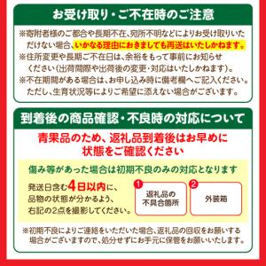 ふるさと納税 フルーツ 定期便 フルーツ [旬...の詳細画像4