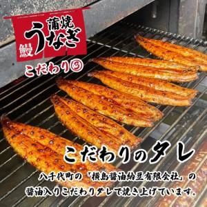ふるさと納税 うなぎ 国産 うなぎ 蒲焼き 5...の詳細画像4