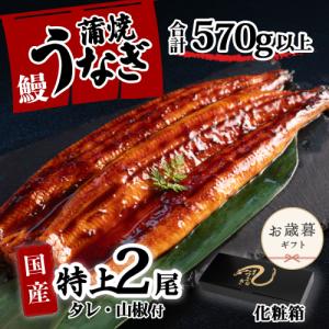 ふるさと納税 うなぎ 国産 特上 ウなぎ 蒲焼き...の商品画像