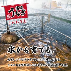 ふるさと納税 うなぎ 国産 特上 ウなぎ 蒲焼...の詳細画像2
