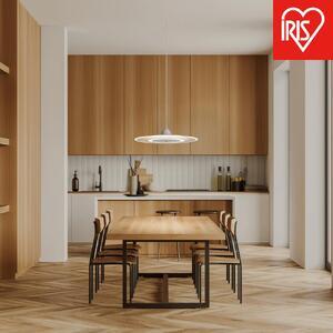 ふるさと納税 照明 LEDペンダントライト パネルライト 温白色 PLP6D-WW ホワイト 宮城県...