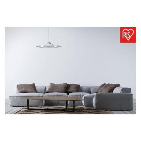 ふるさと納税 照明 LEDペンダントライト パネルライト 昼光色 PLP6D-D ホワイト 宮城県角...