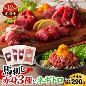 ふるさと納税 【全12回定期便】【熊本特産】赤身馬刺し3種とネギトロの詰め合わせ 3891【有限会社スイートサプライなかぞの】[ZDT175] 熊本県山鹿市
