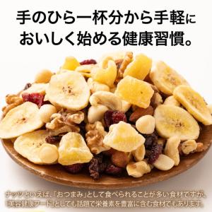 ふるさと納税 8種のフルーツナッツ600g×3...の詳細画像1