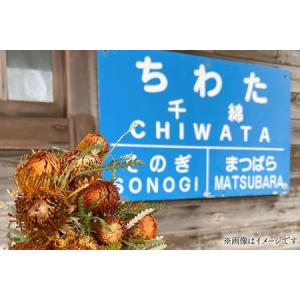 ふるさと納税 花 定期便 四季 生花 アレンジ...の詳細画像2