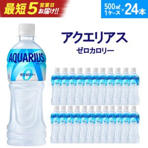 ふるさと納税 【最短5営業日着！】アクエリアスZERO 500ml PET×24本　【04301-0532】 宮城県蔵王町