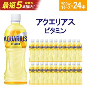 ふるさと納税 【最短5営業日着！】アクエリアス ビタミン　500ml PET×24本　【04301-0538】 宮城県蔵王町