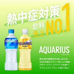 ふるさと納税 【最短5営業日着!】アクエリアス...の詳細画像1