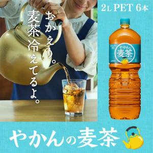 ふるさと納税 【5か月連続お届け】やかんの麦茶...の詳細画像1