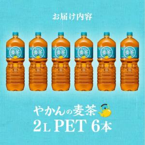 ふるさと納税 【6か月連続お届け】やかんの麦茶...の詳細画像2