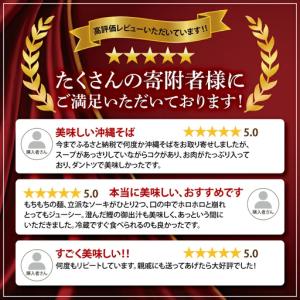 ふるさと納税 【全12回定期便】三枚肉そば4食...の詳細画像2