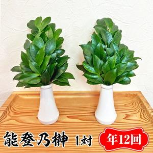 ふるさと納税 【定期便】能登乃榊 1対 年12回（1年間定期配送） ※着日指定不可 石川県七尾市