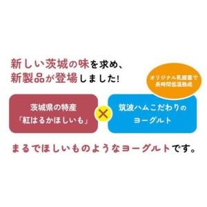 ふるさと納税 筑波ハム 『 まるでほしいも 』...の詳細画像2