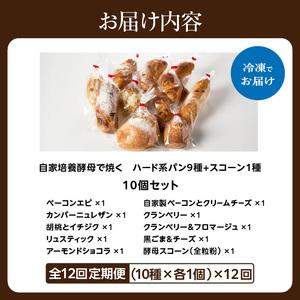 ふるさと納税 【全12回定期便】選べる回数!自...の詳細画像4