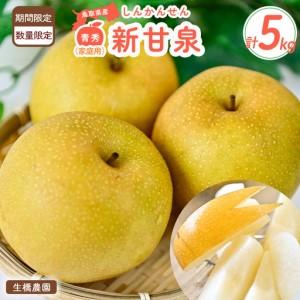 ふるさと納税 鳥取県だけで作られている幻の梨 新甘泉【鳥取県産】（家庭用）５kg（生橋農園） 青秀 梨 果物 フルーツ 鳥取県倉吉市