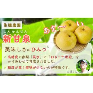 ふるさと納税 鳥取県だけで作られている幻の梨 ...の詳細画像1