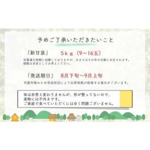 ふるさと納税 鳥取県だけで作られている幻の梨 ...の詳細画像2