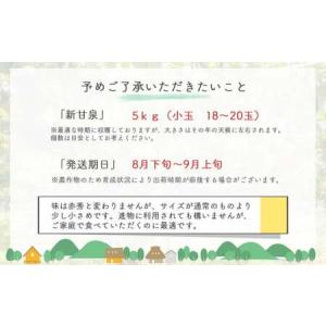 ふるさと納税 鳥取県だけで作られている幻の梨 ...の詳細画像2