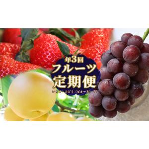 ふるさと納税 【ふるさと納税】＜フルーツ 定期便（全３回）＞ いちご ピオーネ ぶどう 梨 fruit 苺 おすすめ 旬 果物 くだもの 高知県 佐川町産.. 高知県佐川町