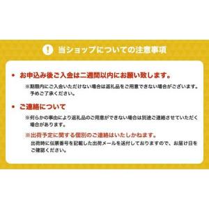 ふるさと納税 国産はと麦茶 6袋 熊本県宇城市の詳細画像4