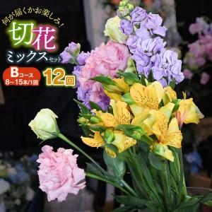 ふるさと納税 何が届くかお楽しみ★【12ヶ月定期便】鶴岡産切花ミックスセット Bコース 12回　花蔵（HANAZO）　K-756 山形県鶴岡市