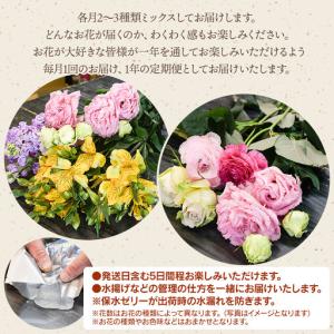 ふるさと納税 何が届くかお楽しみ★【12ヶ月定...の詳細画像2