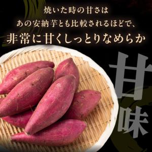 ふるさと納税 【食べ比べ】紅白 きみまろこと紅...の詳細画像1