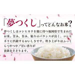ふるさと納税 米 福岡県産米 夢つくし 10k...の詳細画像1
