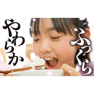 ふるさと納税 米 福岡県産米 夢つくし 10k...の詳細画像3
