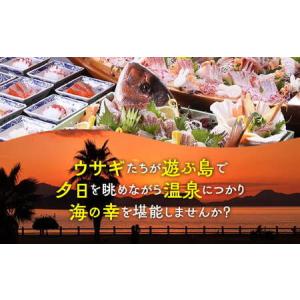 ふるさと納税 うさぎの島 1日1組限定 うさぎ...の詳細画像2