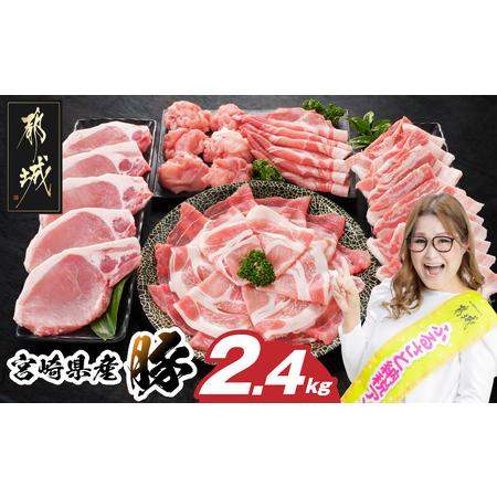 ふるさと納税 宮崎県産豚わくわく2.4kgセット(真空)_14-8406-s_(都城市) 豚肉 豚肉...