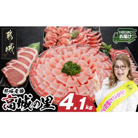 ふるさと納税 「高城の里」わくわく4.1kgセット(真空)≪みやこんじょ快速便≫_22-8401-s...