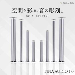 ふるさと納税 【サウンドの極】知名オーディオ TINA AUDIO 1.0 スピーカー＆アンプセット スピーカー サウンドバー 高音質 おすすめ おしゃれ 沖.. 沖縄県沖縄市