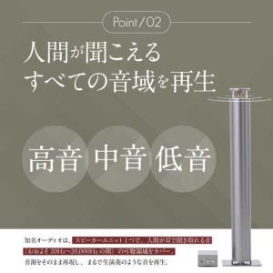 ふるさと納税 【サウンドの極】知名オーディオ ...の詳細画像2