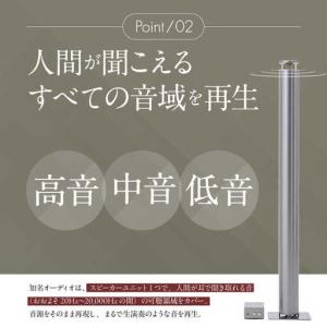 ふるさと納税 【サウンドの極】知名オーディオ ...の詳細画像2