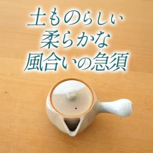 ふるさと納税 《萩焼》茶こし付 急須 H2-8...の詳細画像2