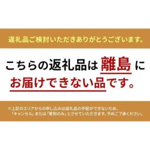 ふるさと納税 ミキサー VR 6HD 配信 オ...の詳細画像1