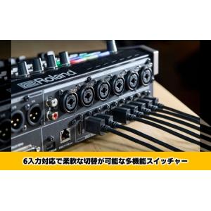 ふるさと納税 【Roland Pro A/V】...の詳細画像4