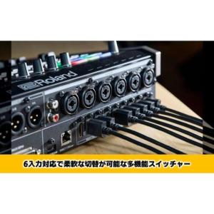 ふるさと納税 ミキサー VR 6HD 配信 オ...の詳細画像4